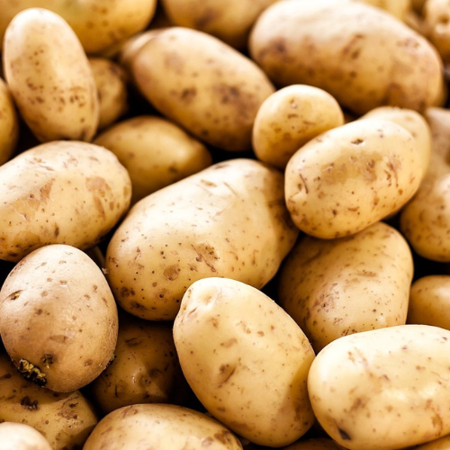 Potatoes - Amrut Export