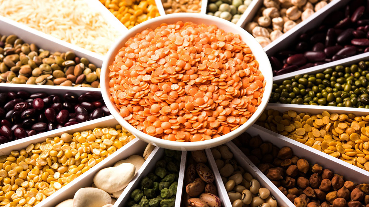 Pulses - Amrut Export