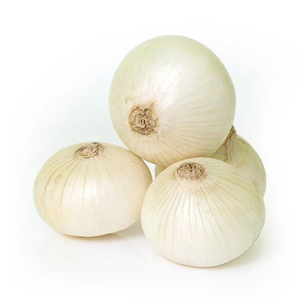 White Onions - Amrut Export